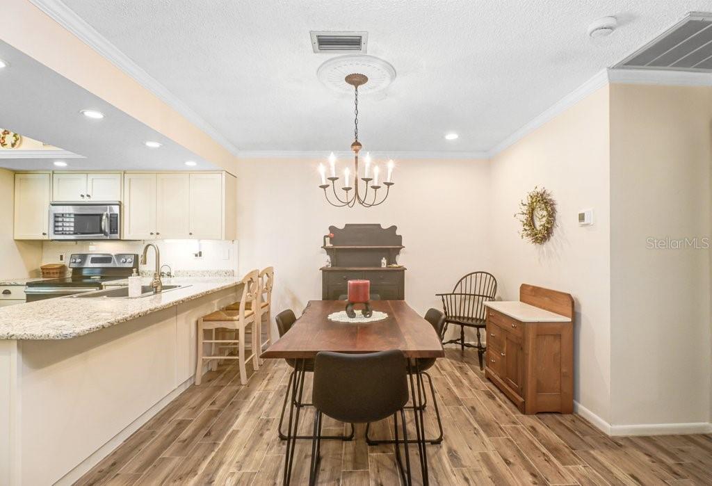 9247 GOLF VIEW DR #9247