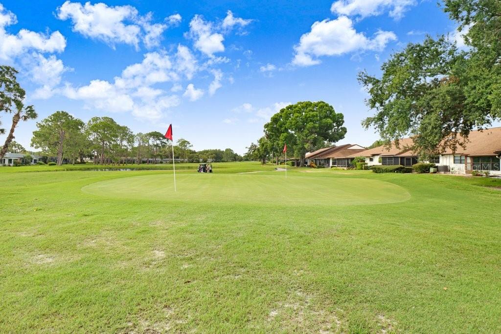 9247 GOLF VIEW DR #9247