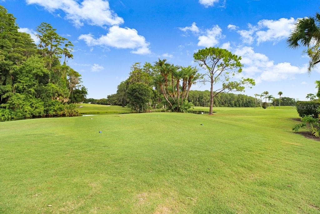 9247 GOLF VIEW DR #9247