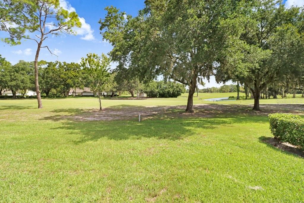 9247 GOLF VIEW DR #9247