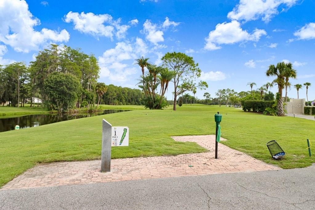 9247 GOLF VIEW DR #9247