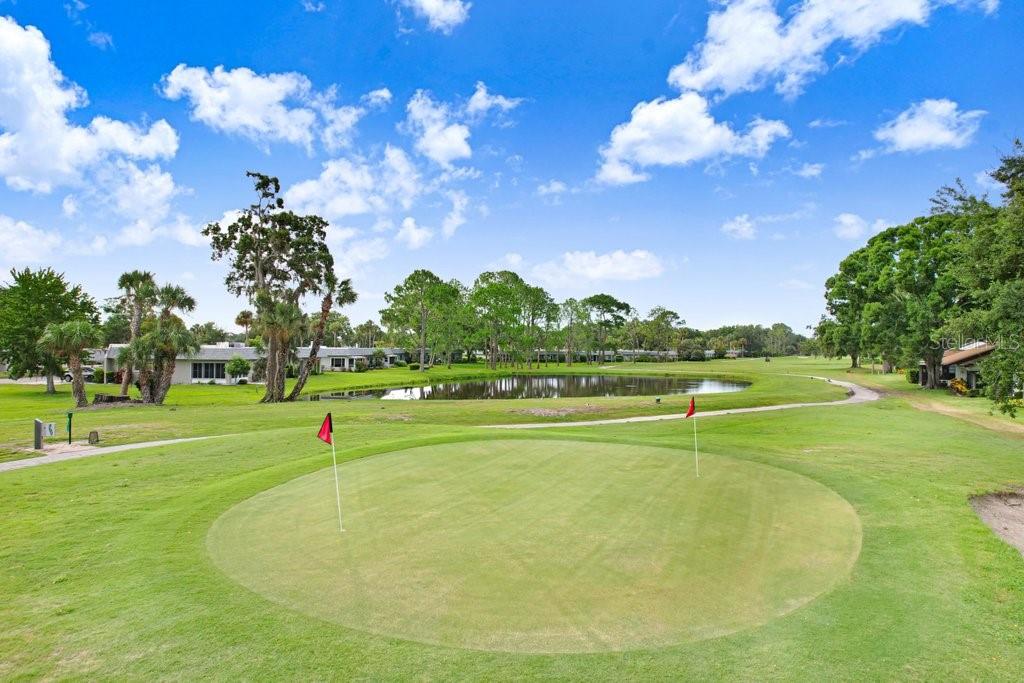 9247 GOLF VIEW DR #9247