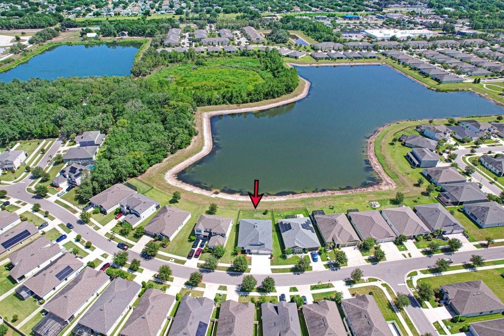 11520 BLUE WOODS DR