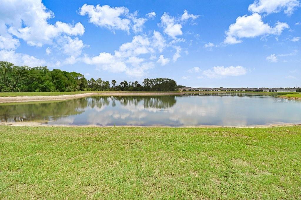 11520 BLUE WOODS DR