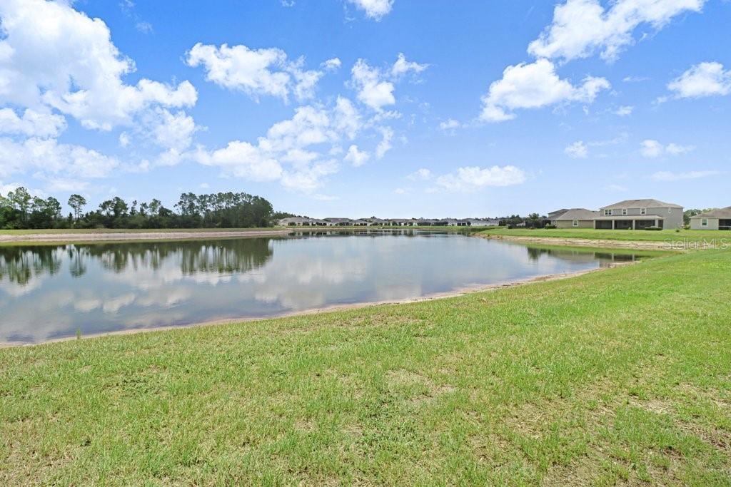 11520 BLUE WOODS DR