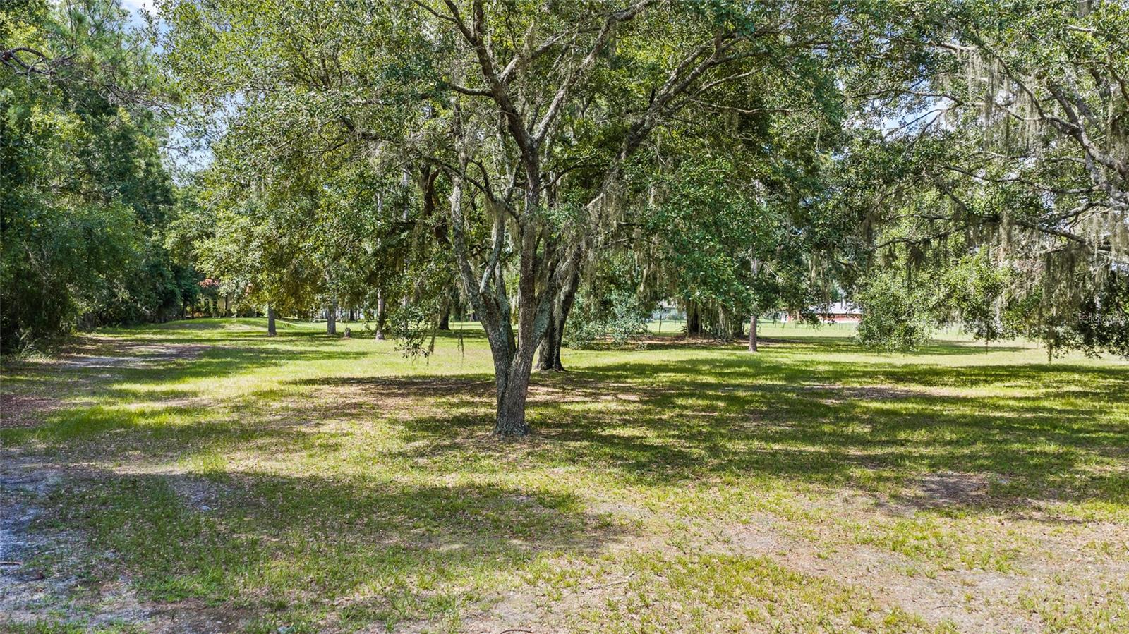 6800 WISTERIA LOOP