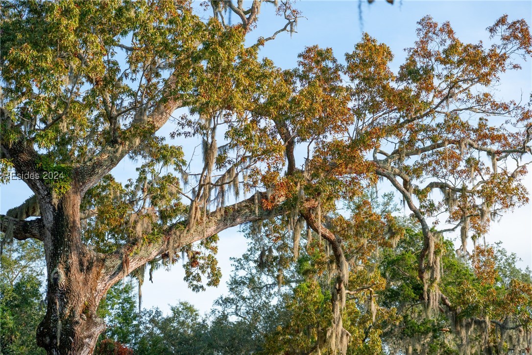 33 B Guerrard Street