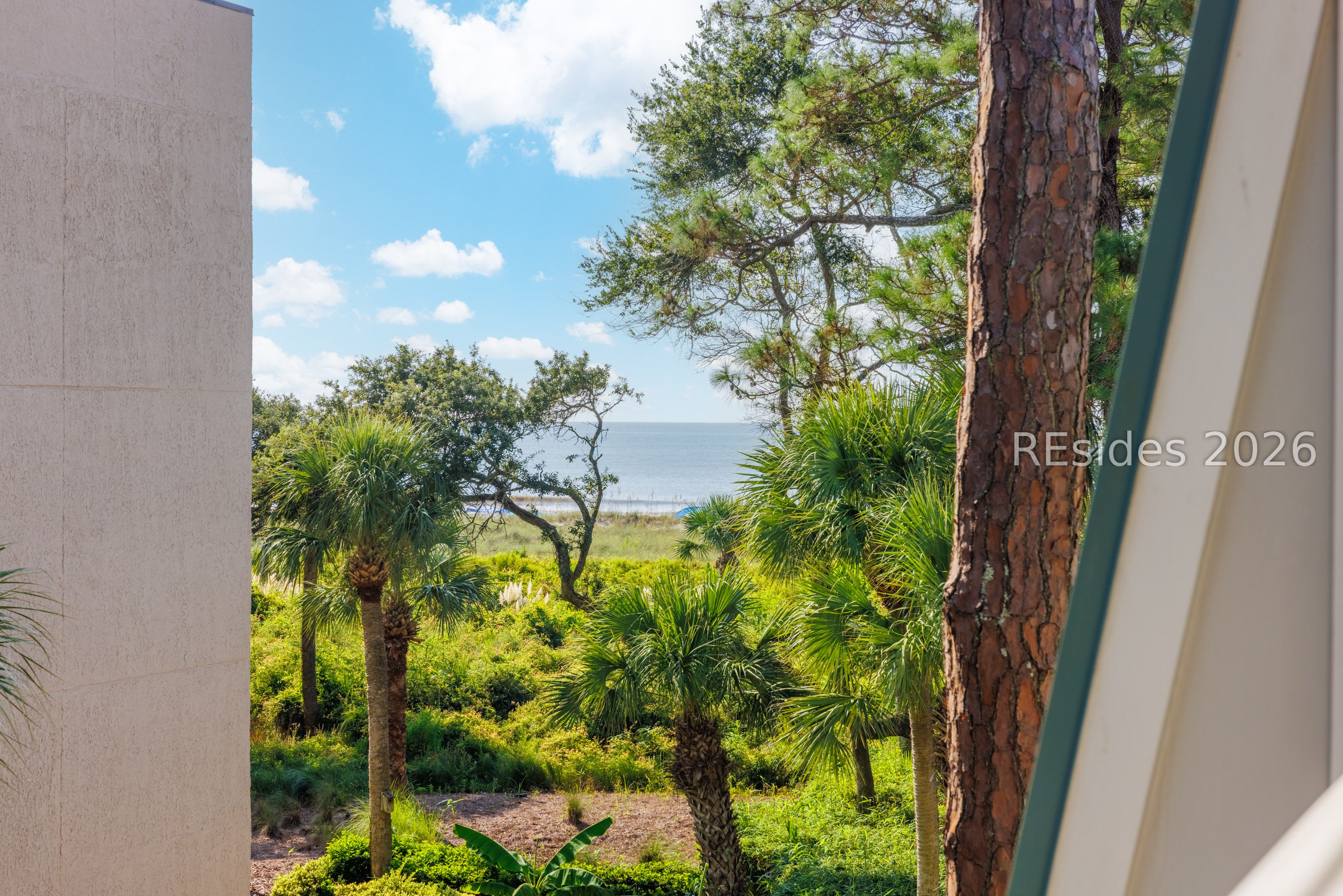 15 S Forest Beach Drive Unit: 3B