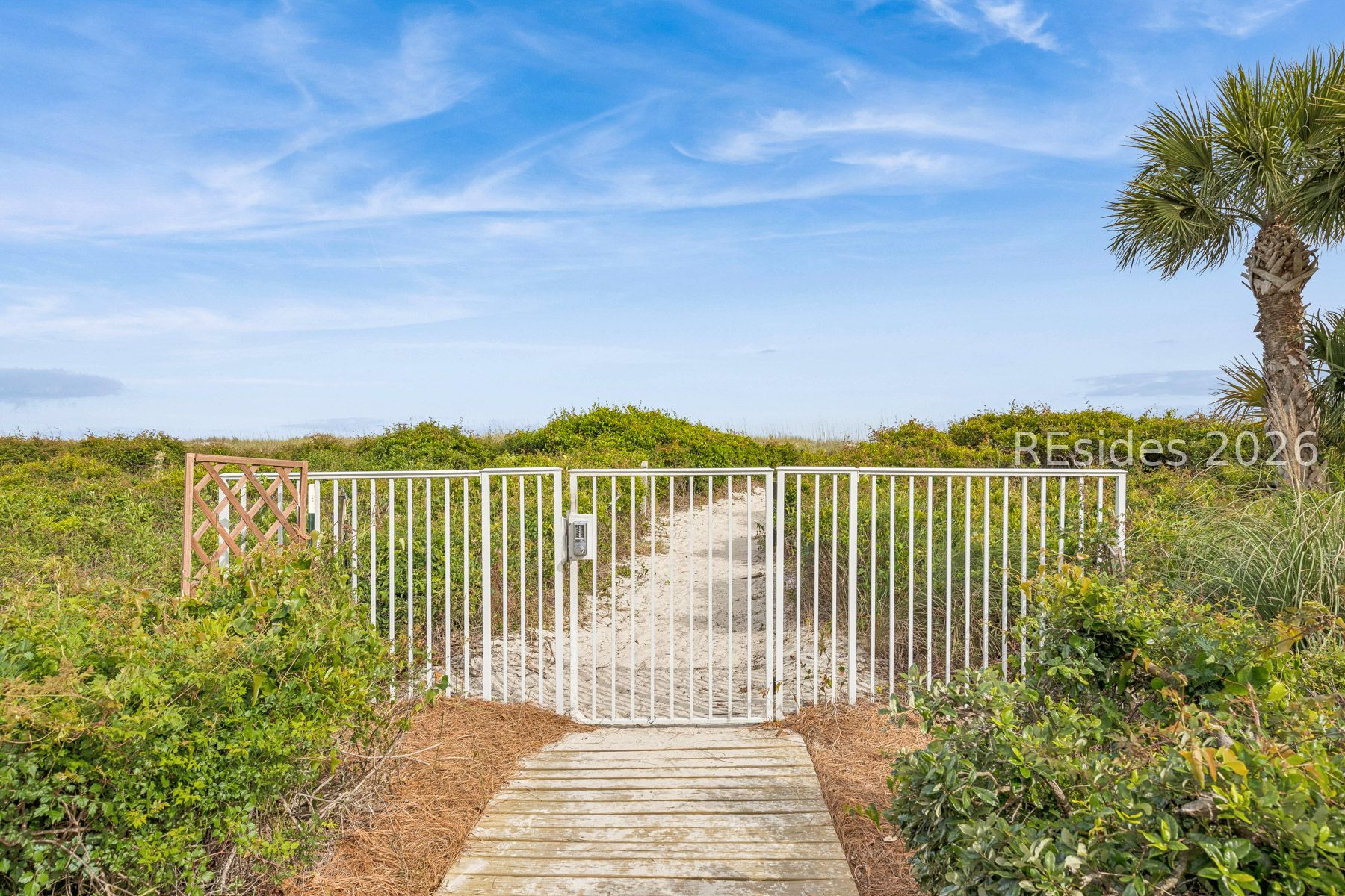15 S Forest Beach Drive Unit: 3B