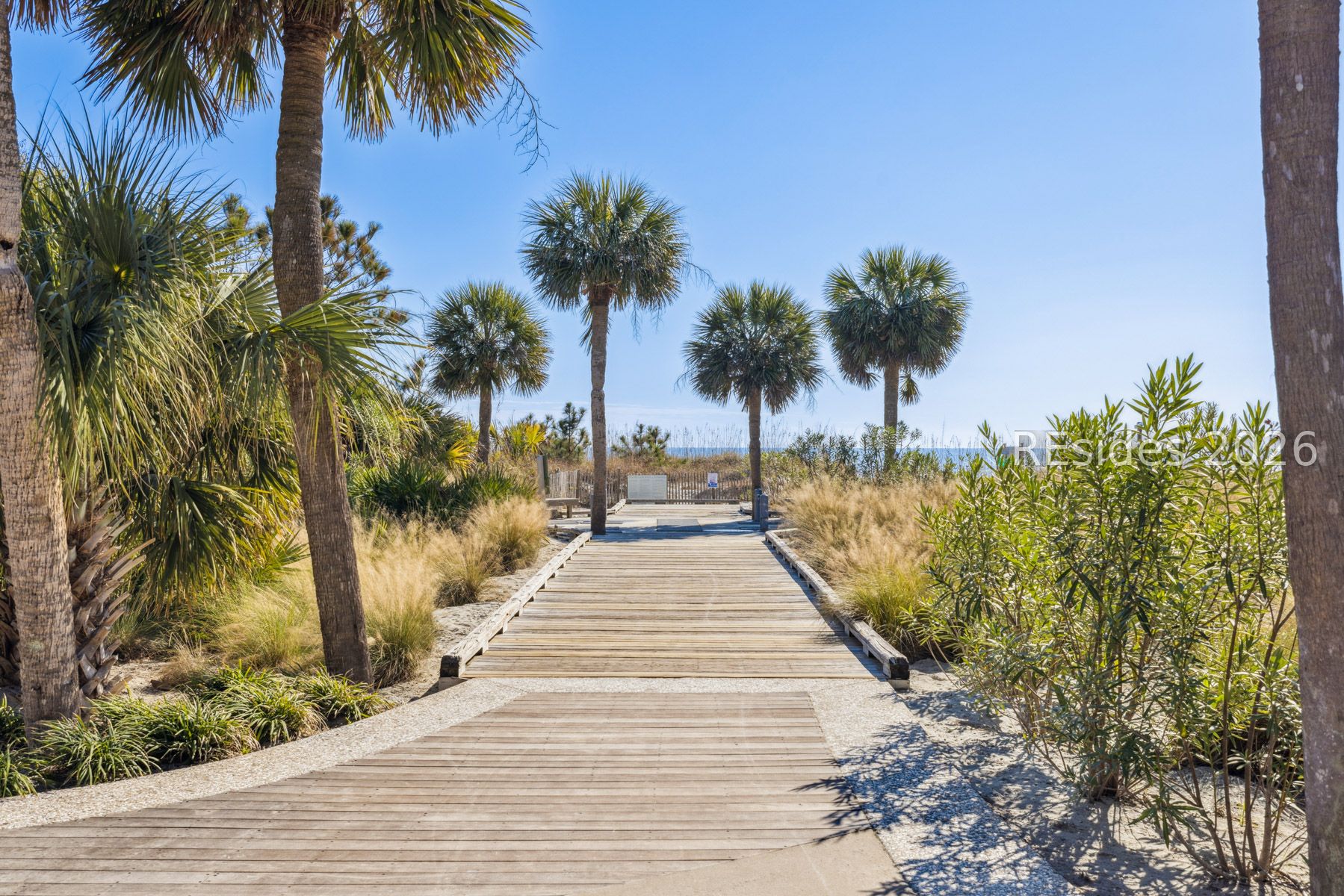 15 S Forest Beach Drive Unit: 3B