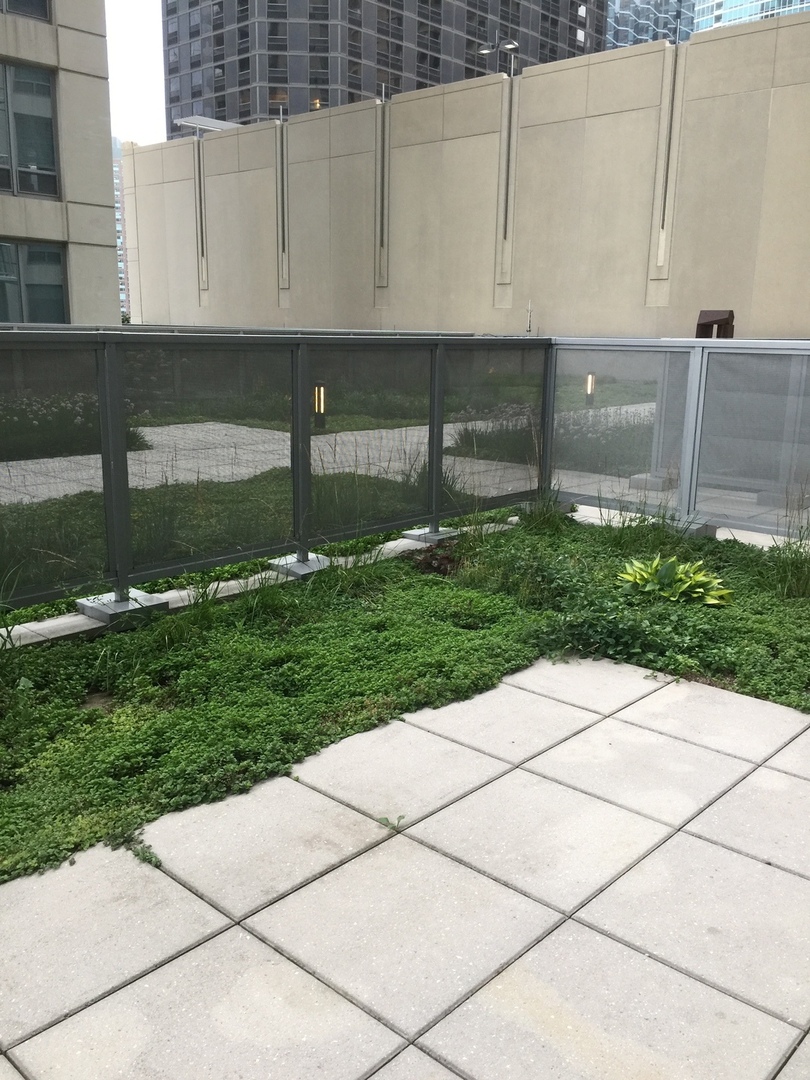 600 N Lake Shore Drive Unit: 1003