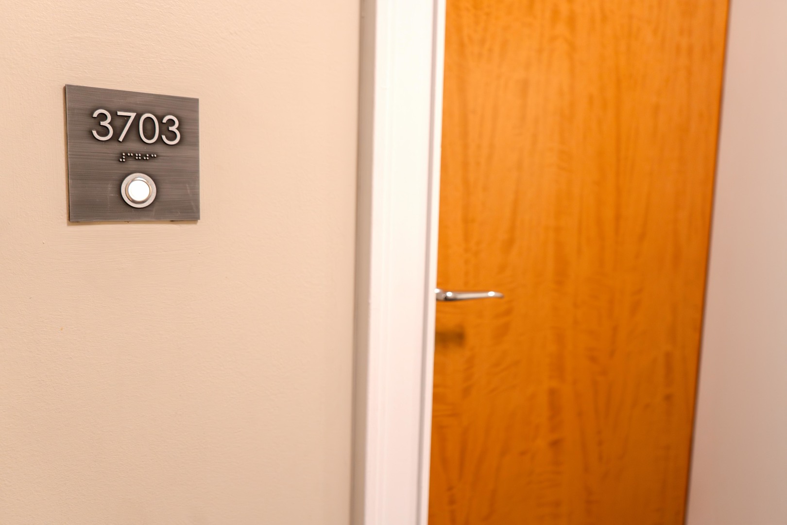 600 N Lake Shore Drive Unit: 3703