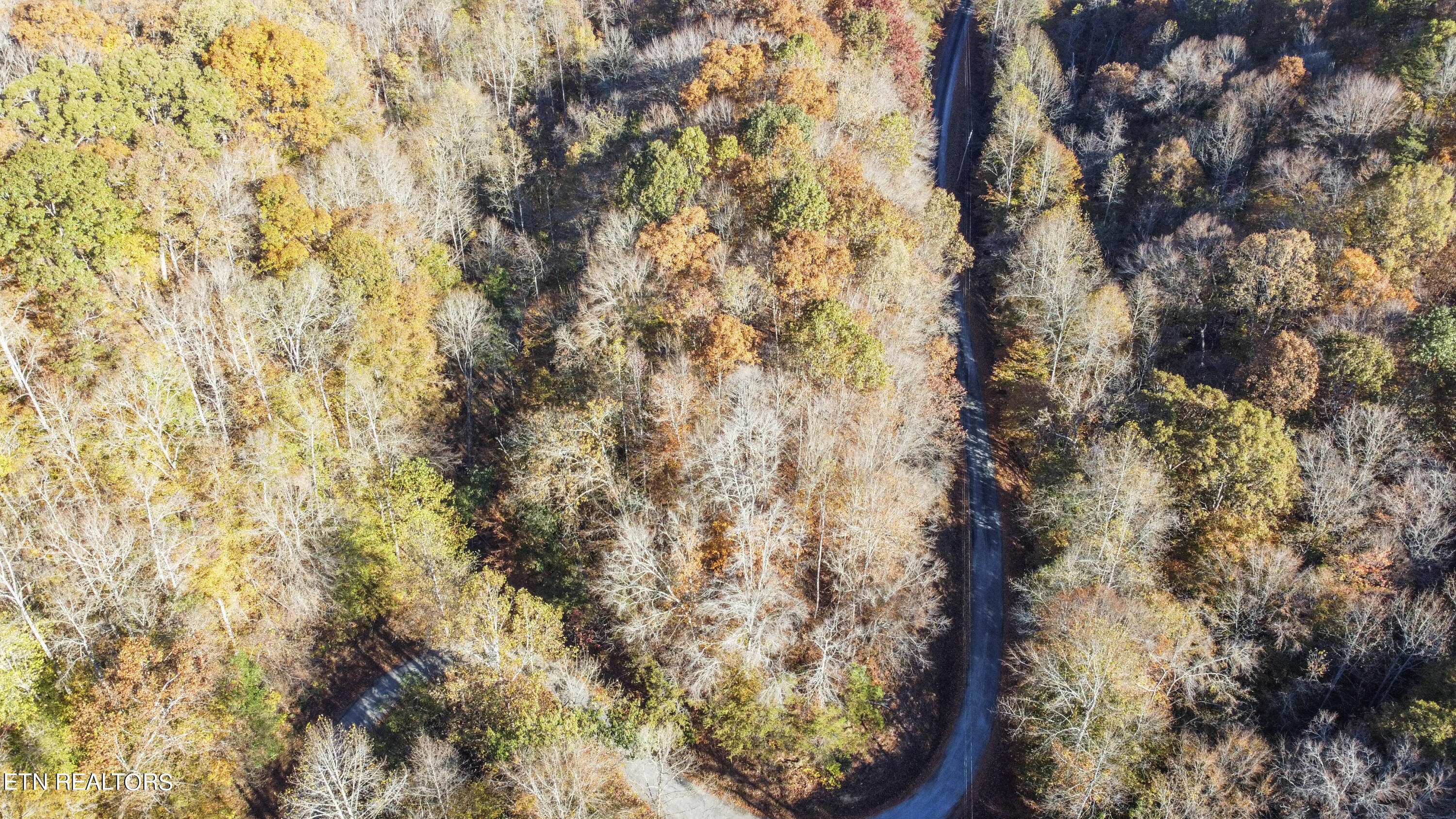 Parson Shores RD Drive