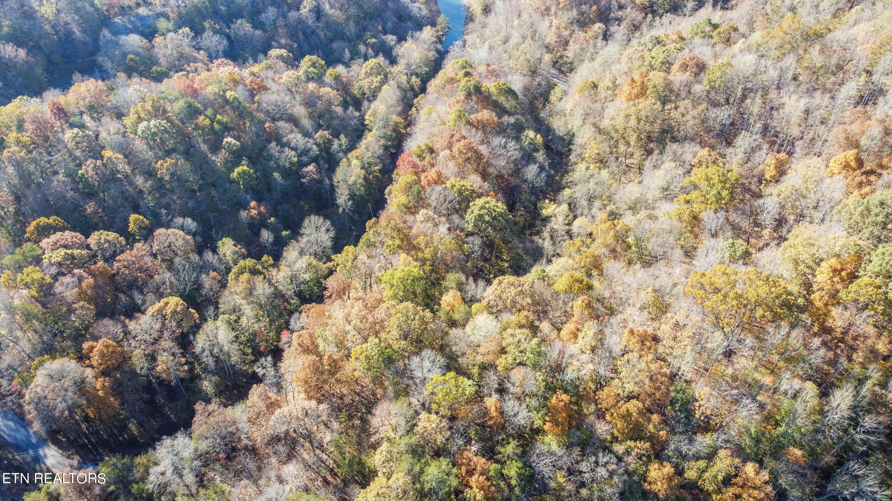 Parson Shores RD Drive