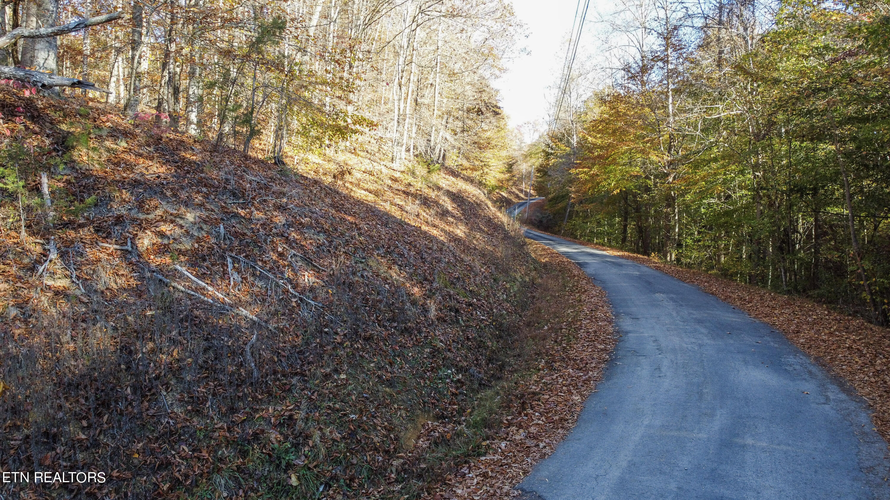 Parson Shores RD Drive