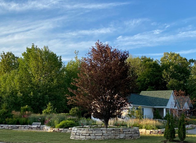 10352 Bella Vista Ln