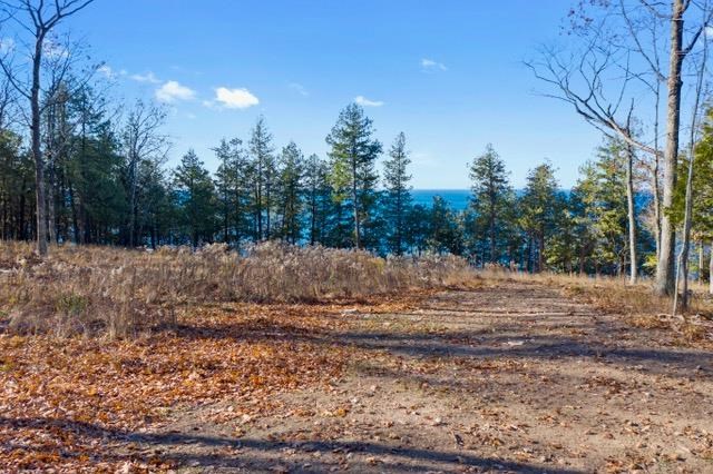 8989 Gibraltar Bluff Rd