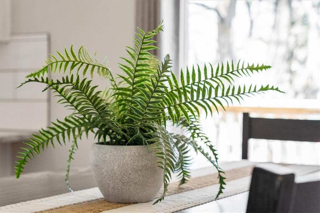 20520 W 219th Terrace