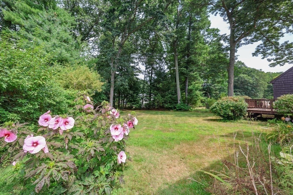 35 Walnut Rd