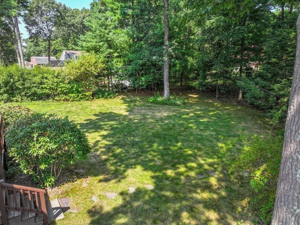 35 Walnut Rd