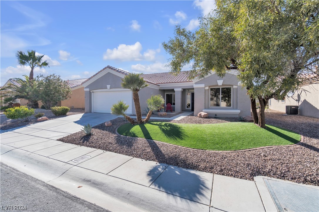 2245 Sun Cliffs Street