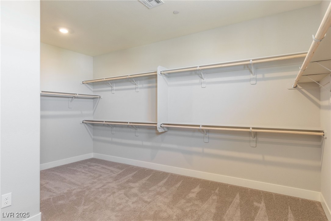 425 Canary Song Drive