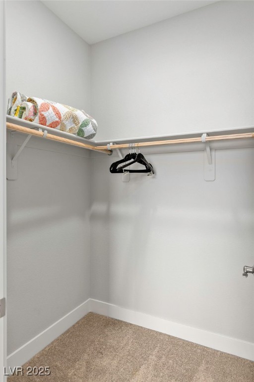 5449 Hickory Tree Street