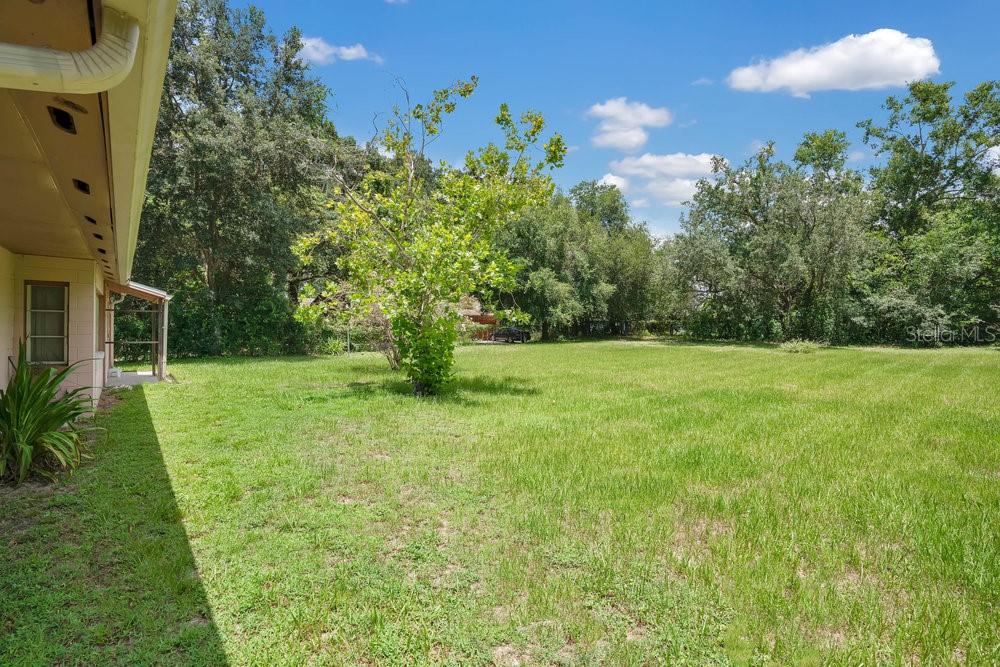 141 STEFANIK RD