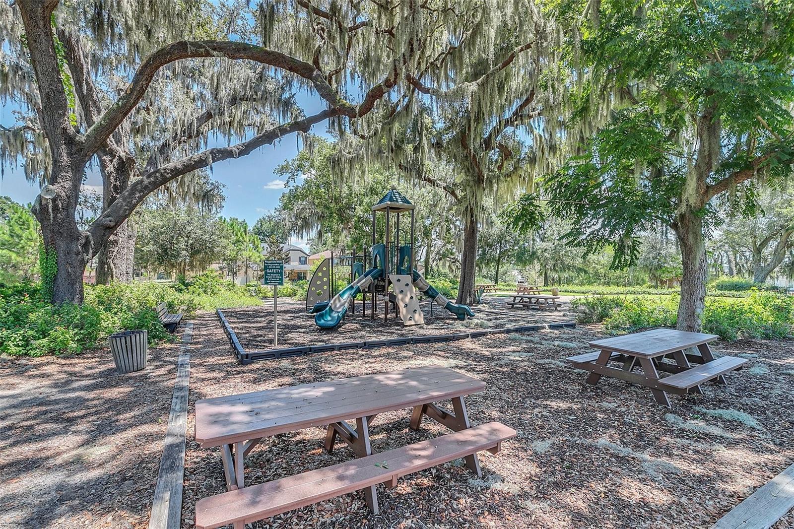 1558 TERRA VERDE WAY