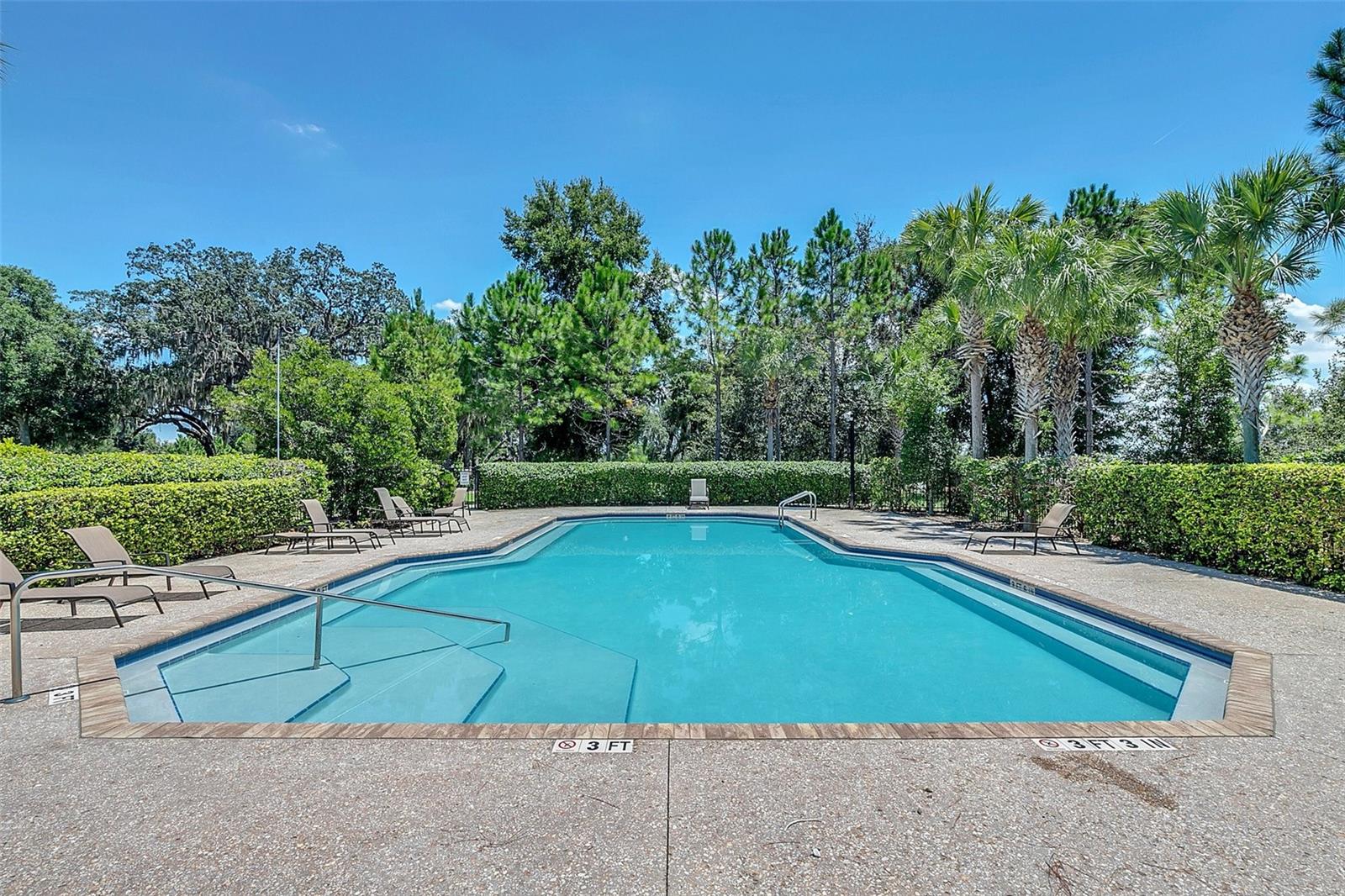 1558 TERRA VERDE WAY