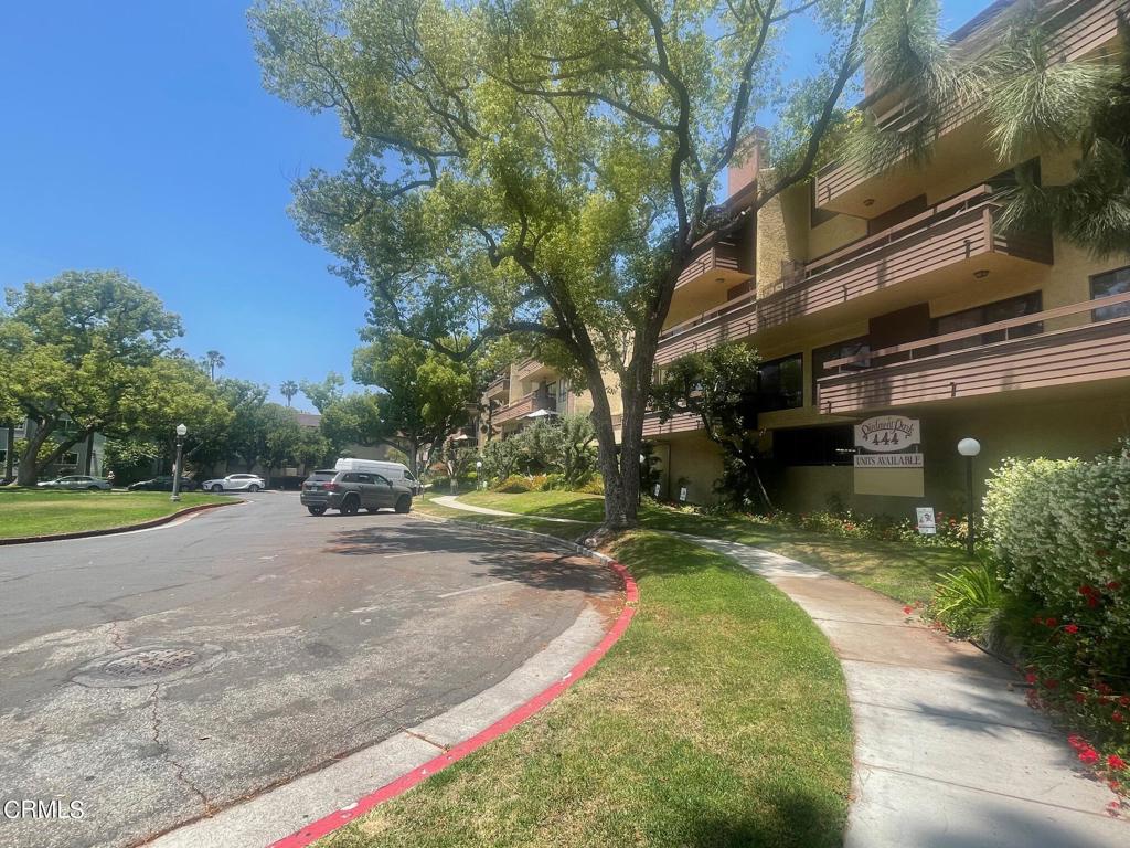 444 Piedmont Avenue 203