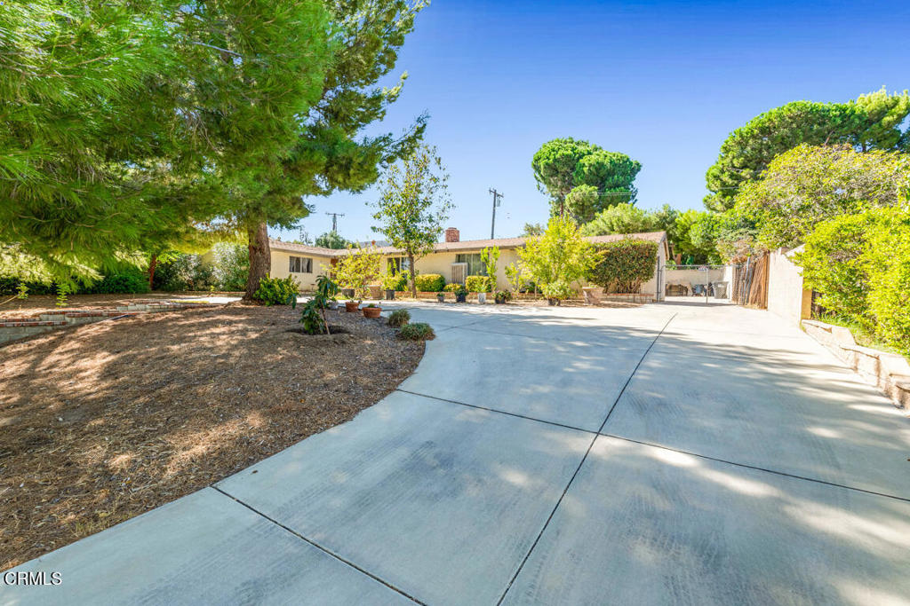 Single-story home beyond a wide concrete driveway, shaded by mature trees.