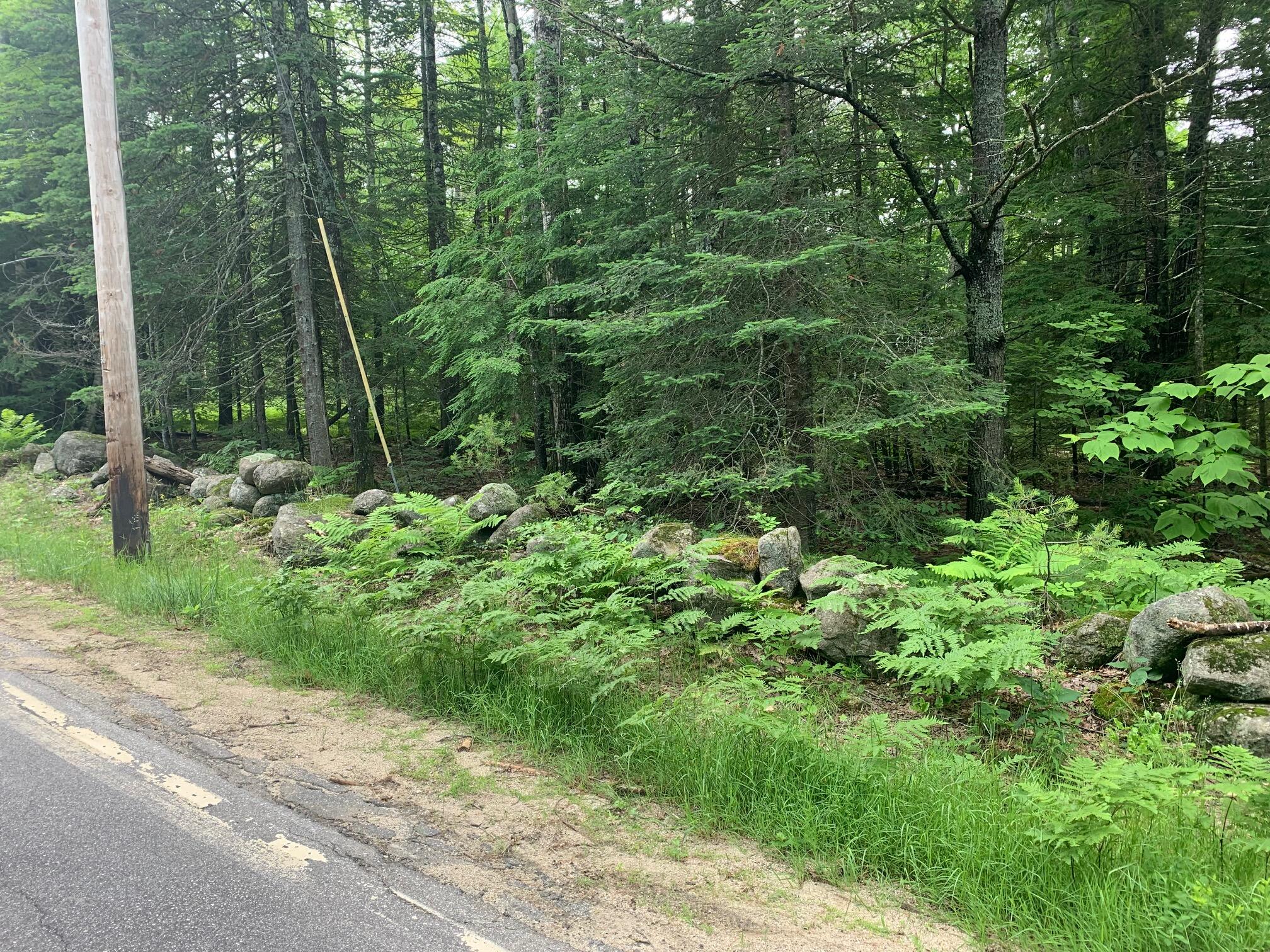15 Bridgton Road