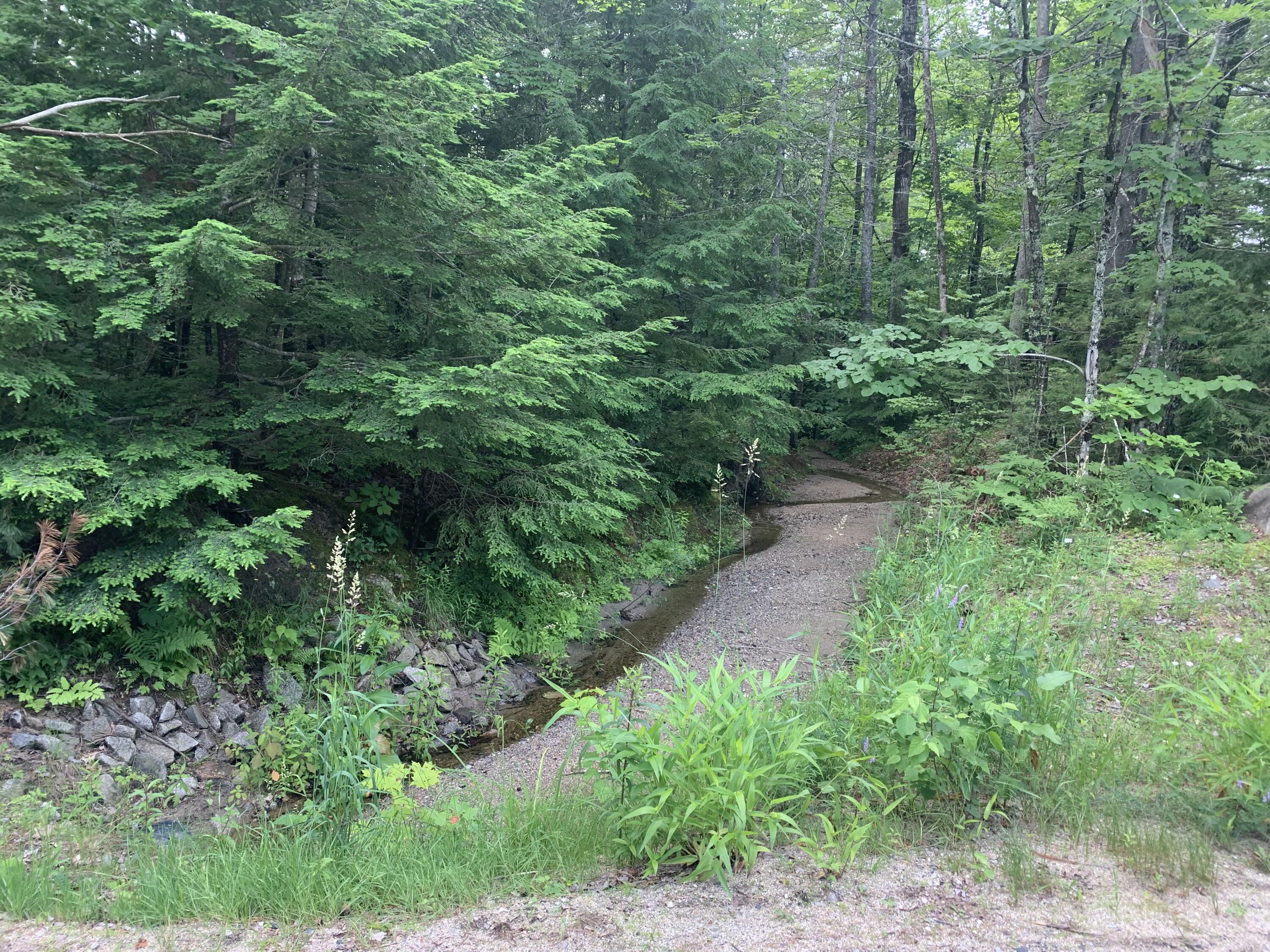 15 Bridgton Road