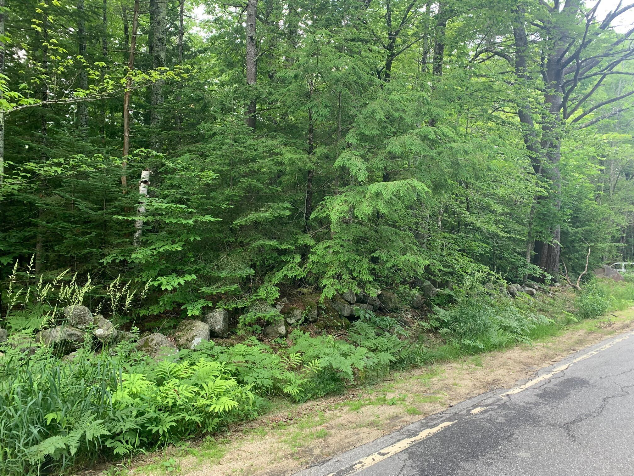 15 Bridgton Road
