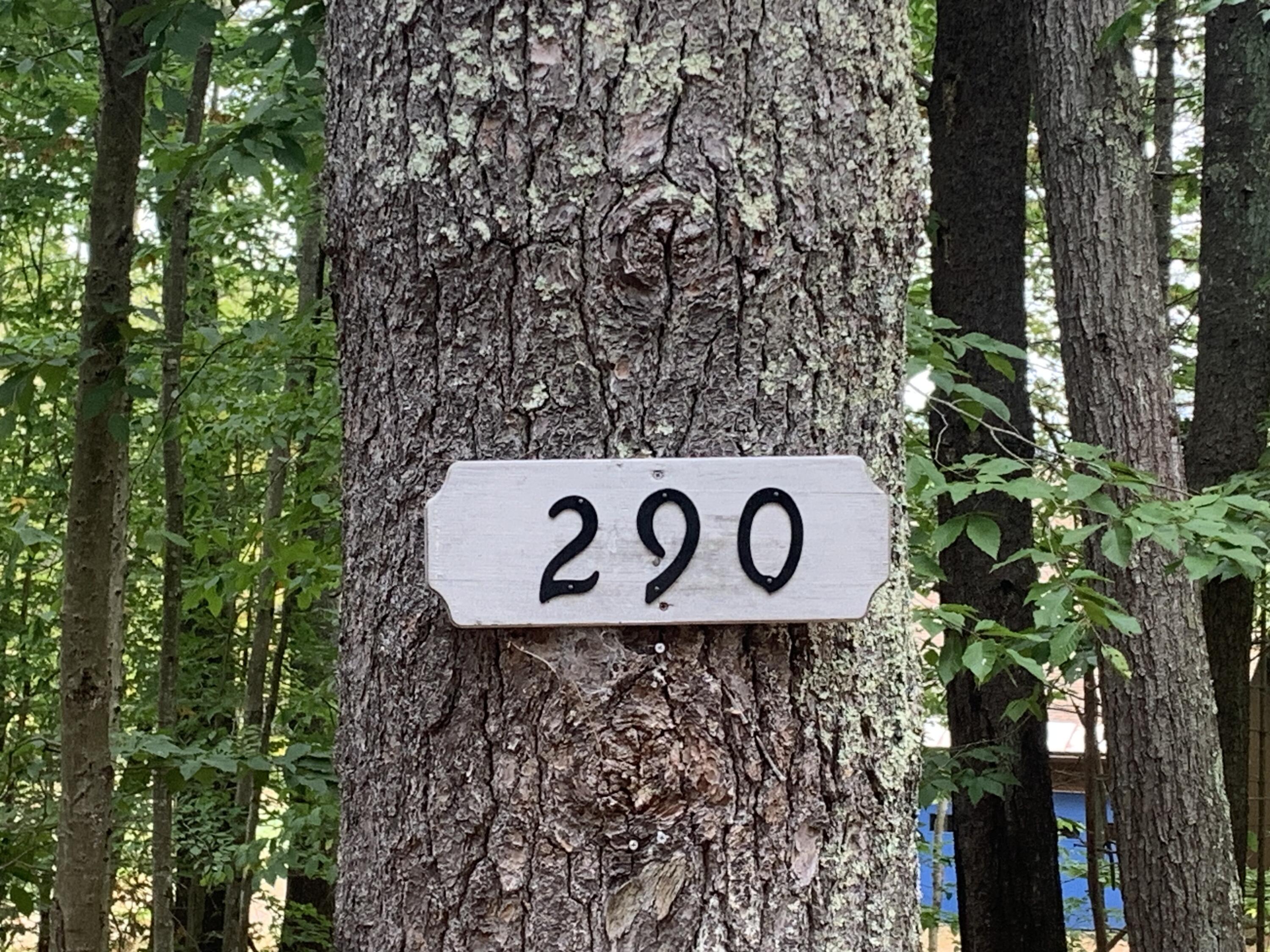 290 Fish Street