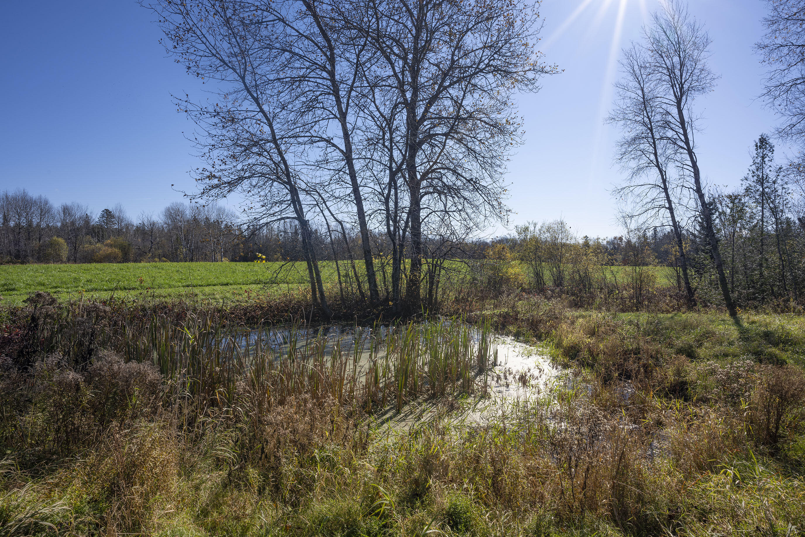 94 South Townline Road