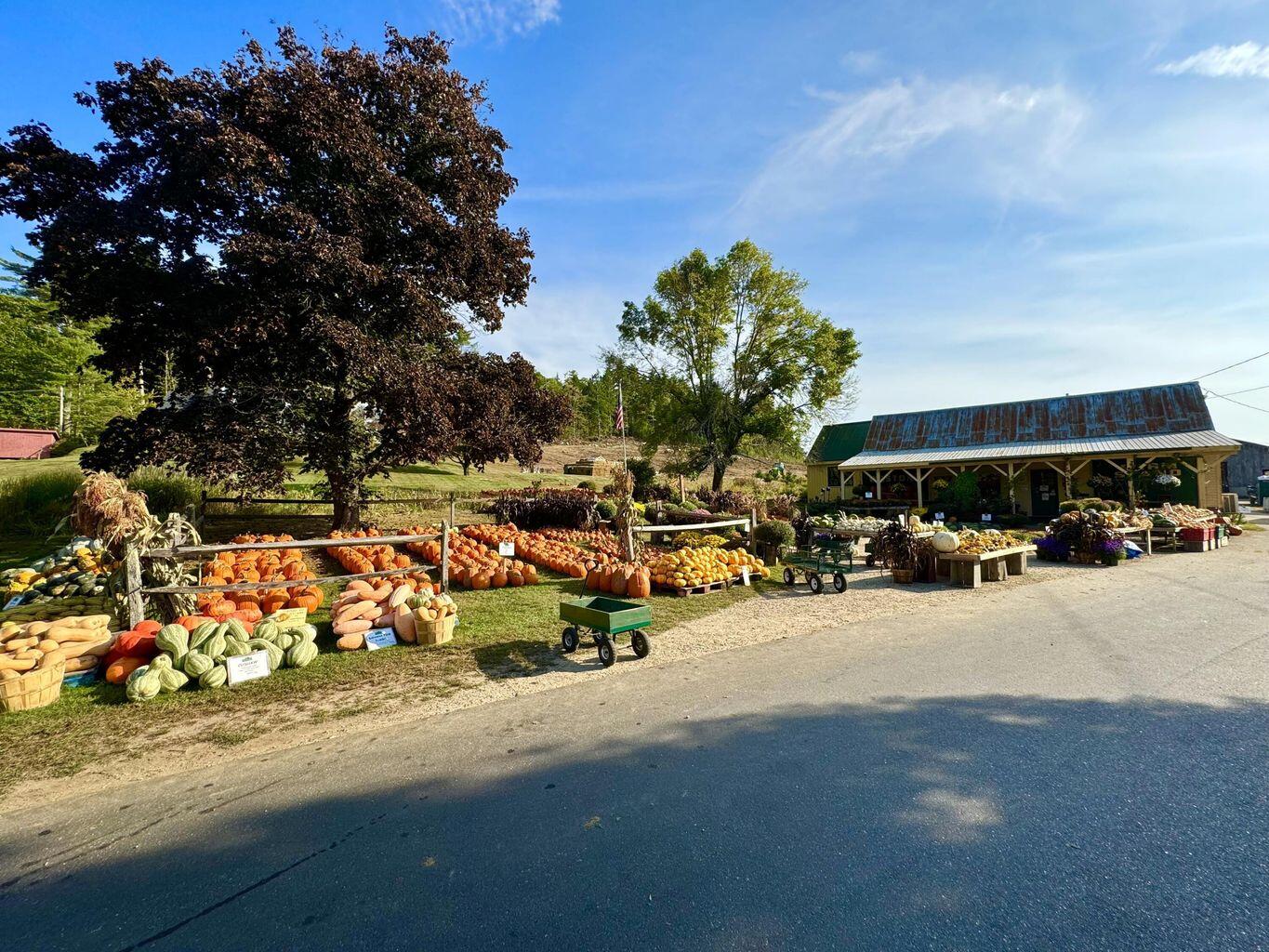 78 Christopher Street