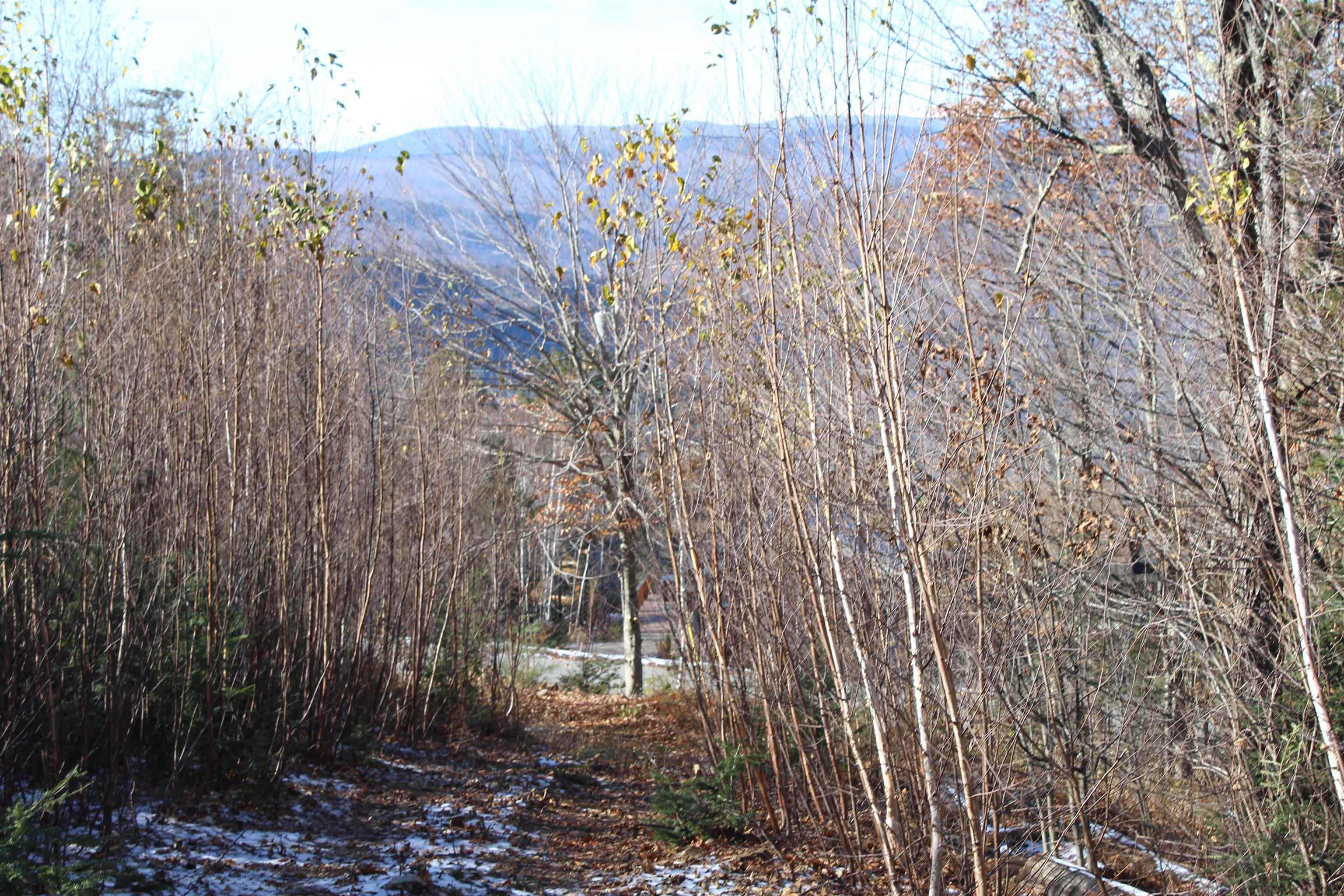 North Hampshire Ridge Road Unit: 110
