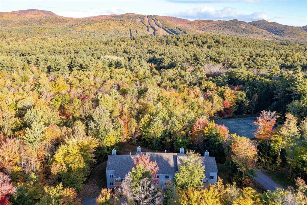 17 Purple Finch Road