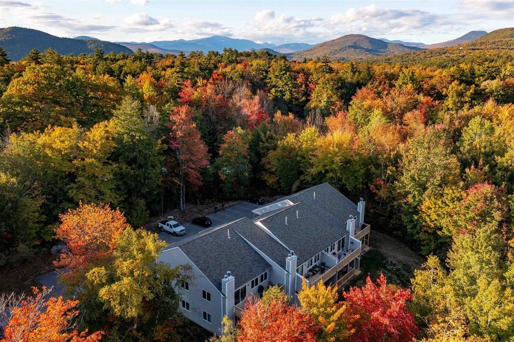 17 Purple Finch Road