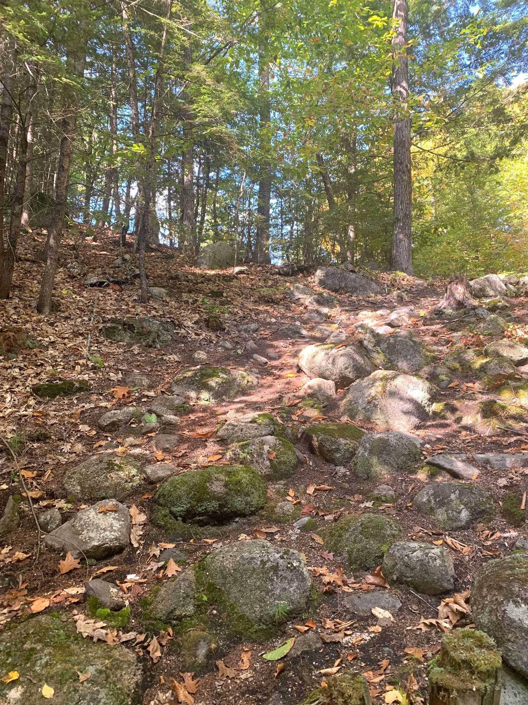 30 Thurley Road Unit: 016