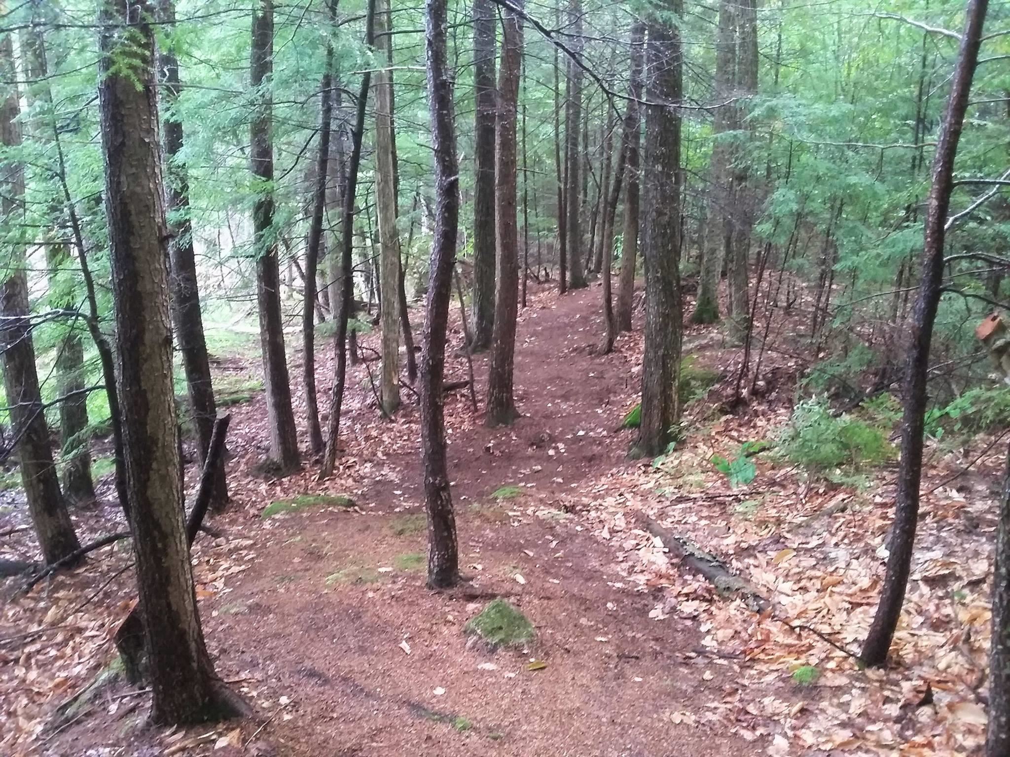 30 Thurley Road Unit: 016