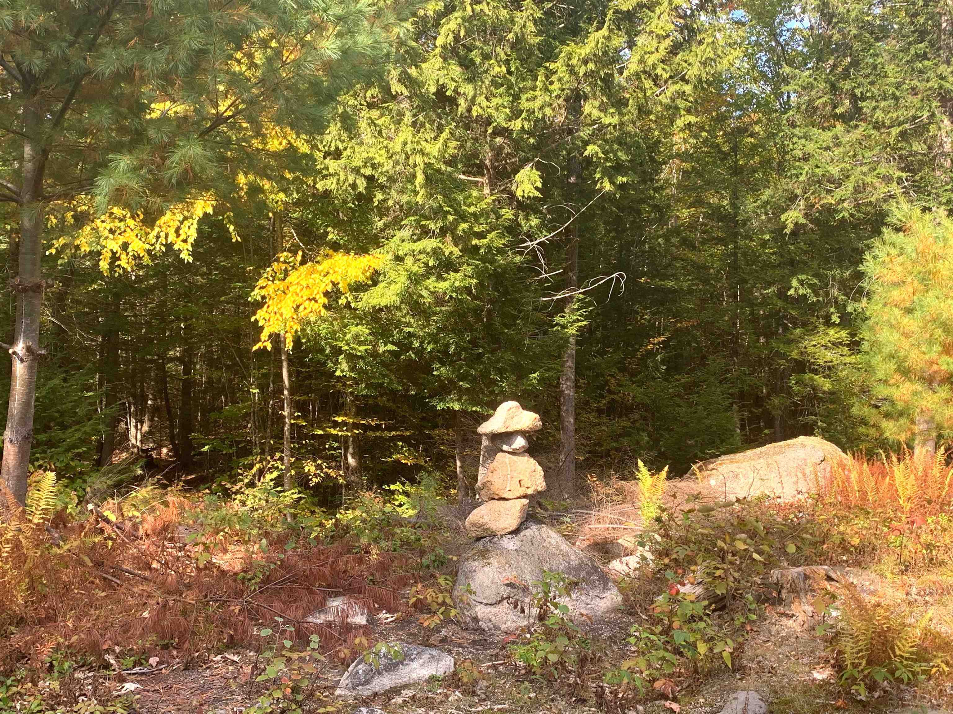 30 Thurley Road Unit: 016