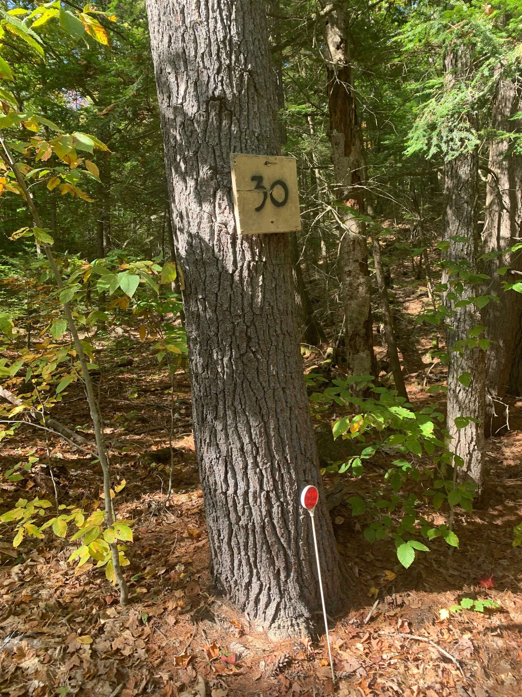 30 Thurley Road Unit: 016