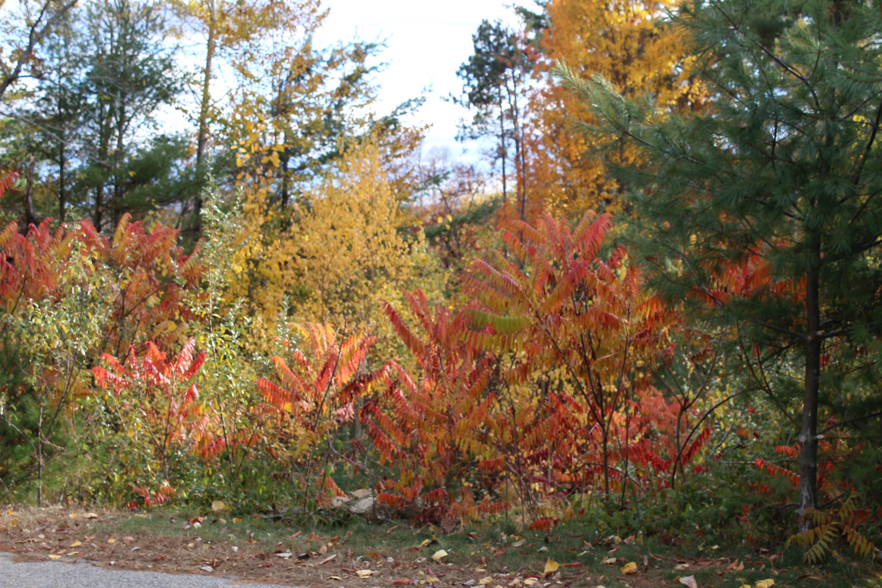 3 Beechwoods Drive Unit: 3