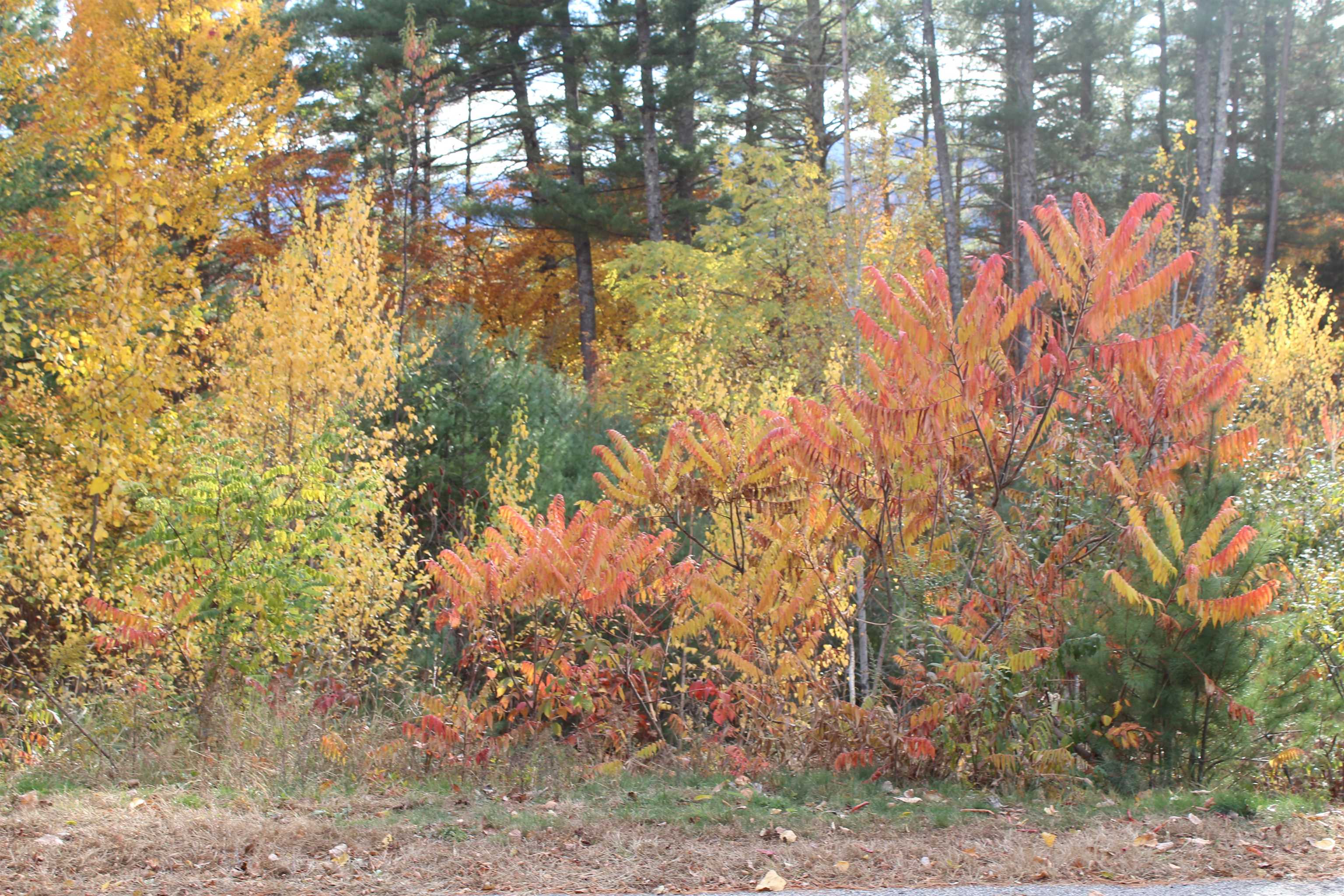 3 Beechwoods Drive Unit: 3