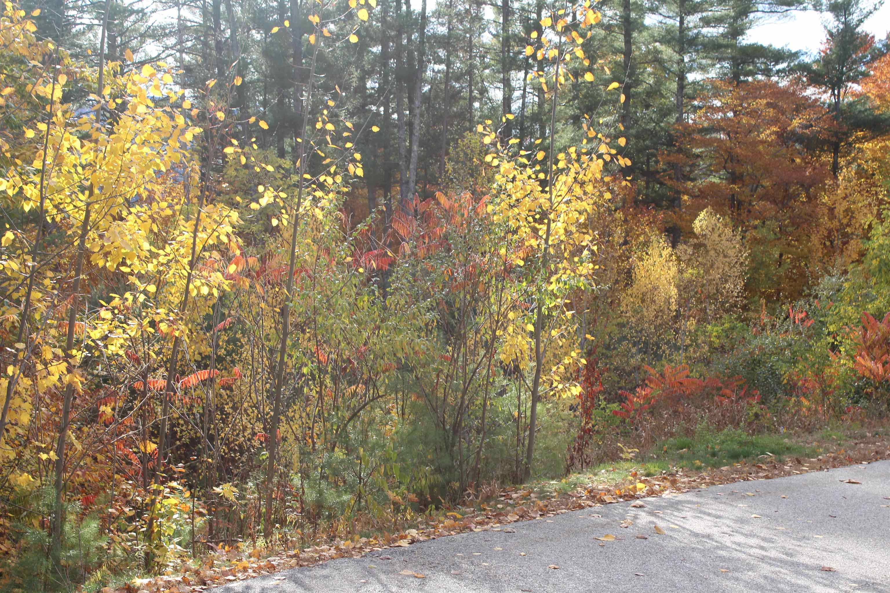 3 Beechwoods Drive Unit: 3