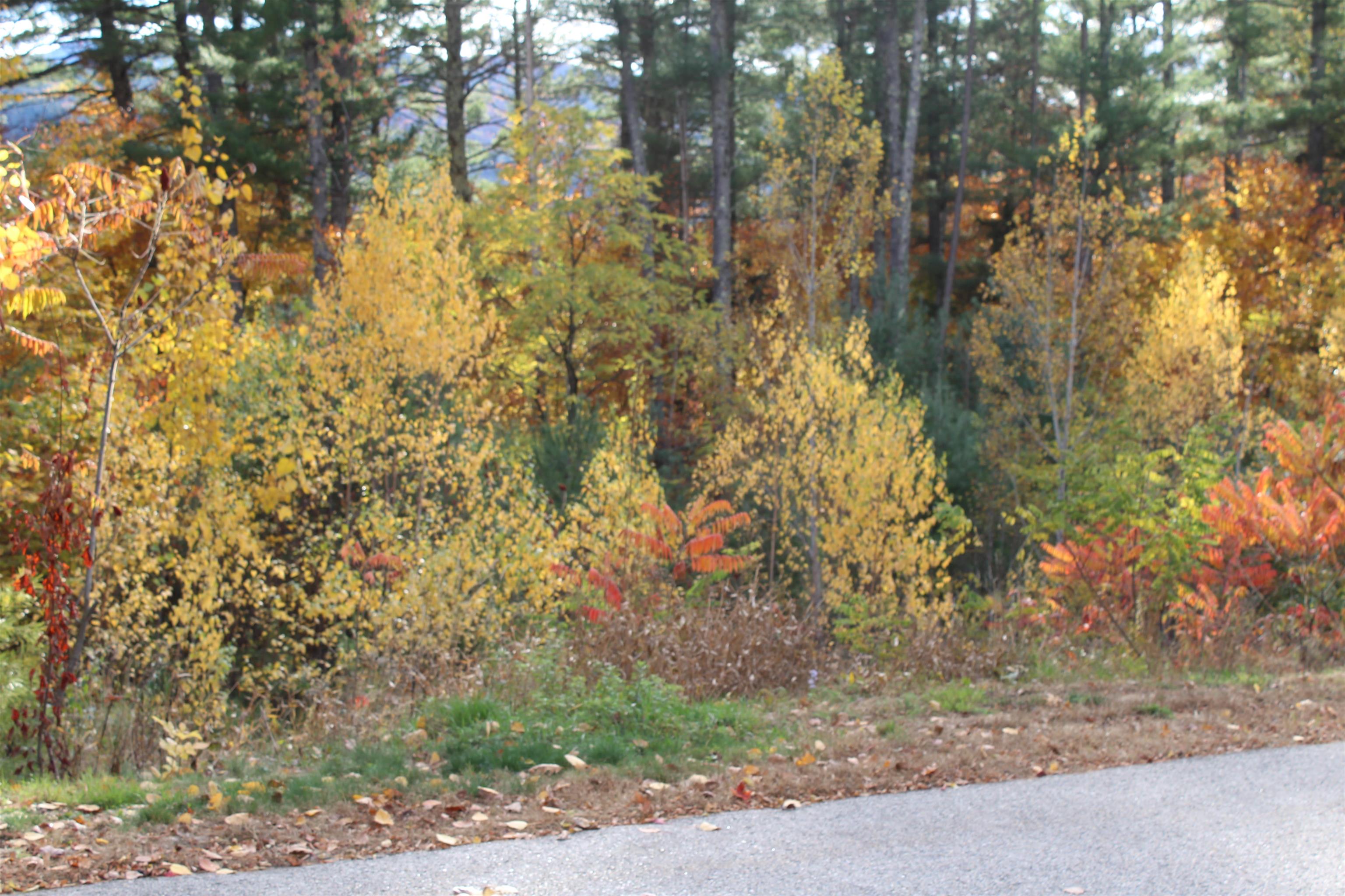 3 Beechwoods Drive Unit: 3