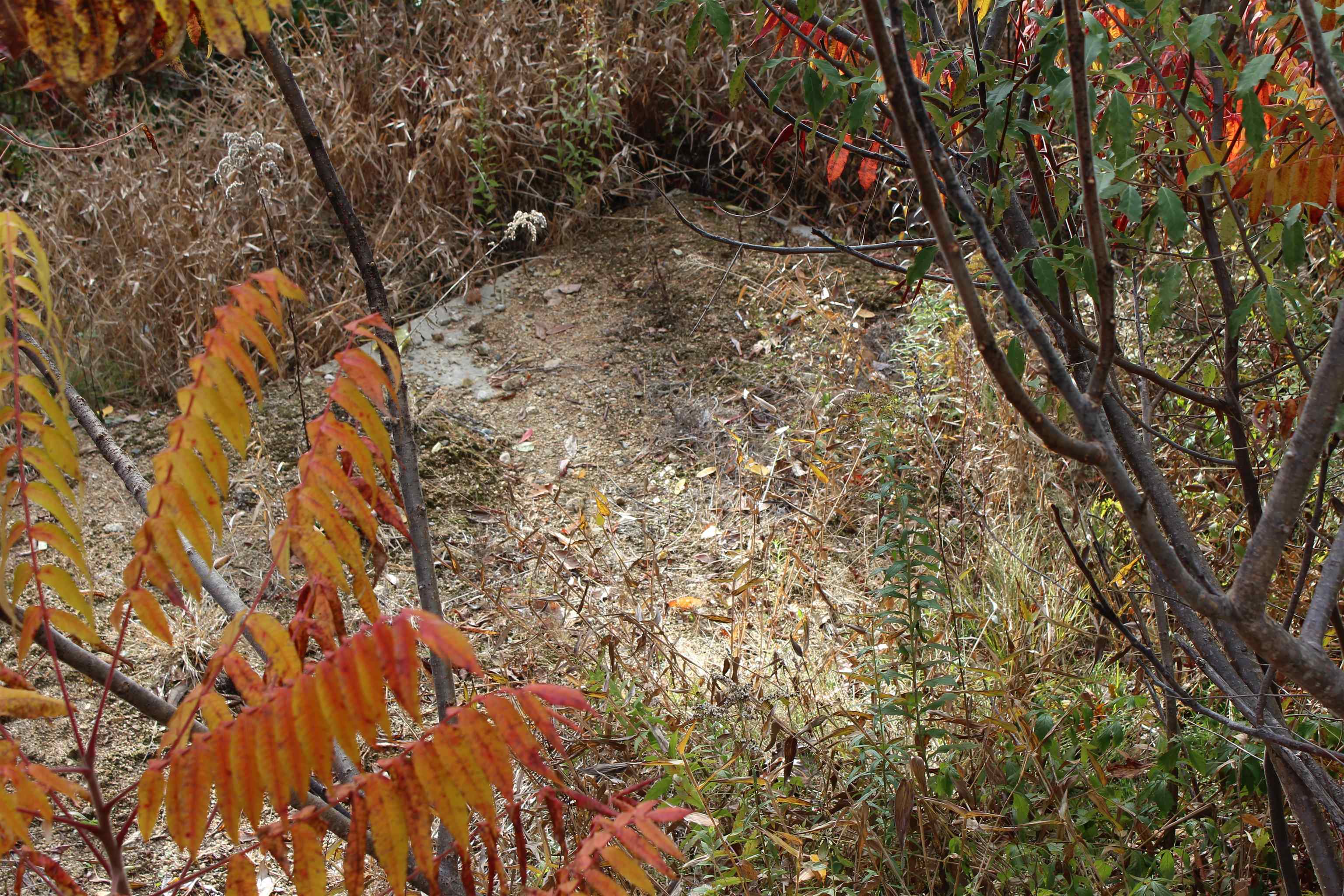 3 Beechwoods Drive Unit: 3